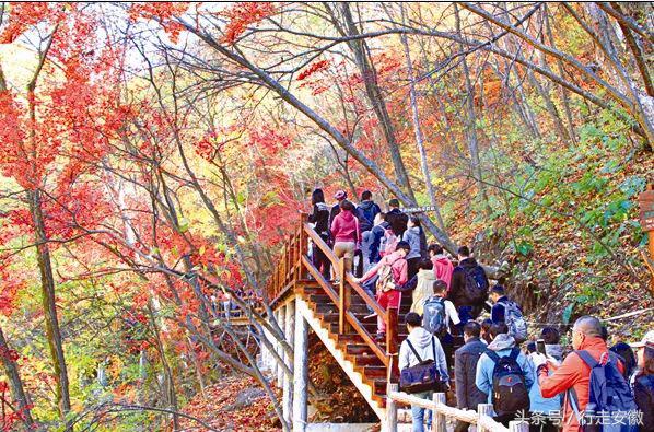 途远实业有限公司,途远智能科技有限公司