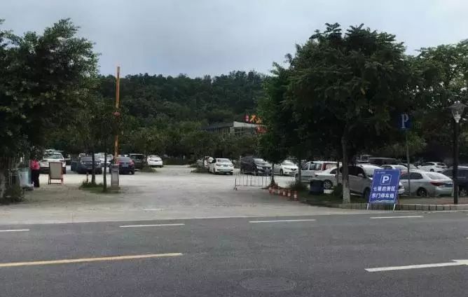 省运会开幕式最新消息,省运会开幕式观众