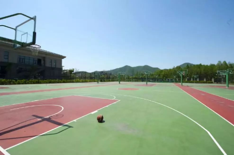 成都的公共体育馆免费开放有哪些,成都哪些体育场馆免费开放