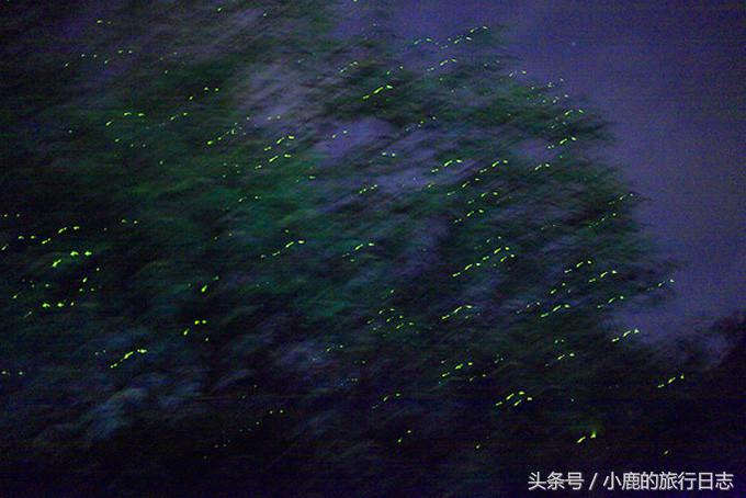 马来西亚天空之镜攻略,马来西亚天空之镜雪兰莪玩法攻略