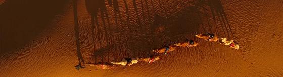 去远方去旅游,远方的朋友来银川