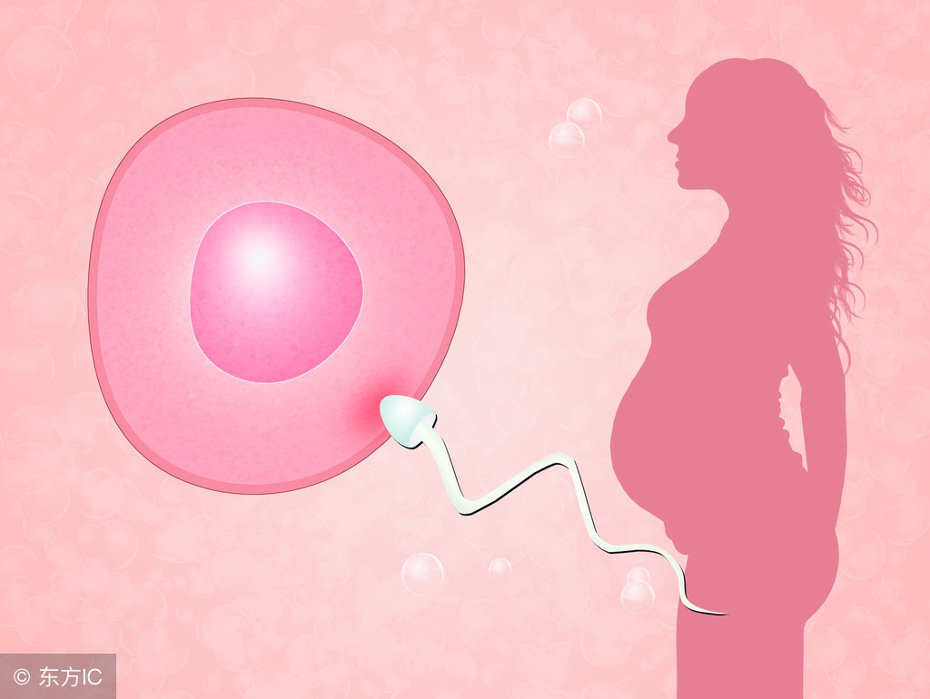 女人月经期安全期排卵期怎么计算,月经周期不稳定如何计算排卵期