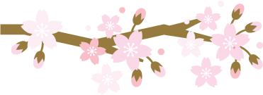 调理子宫内膜的中医疗法,女性内膜修补术过程