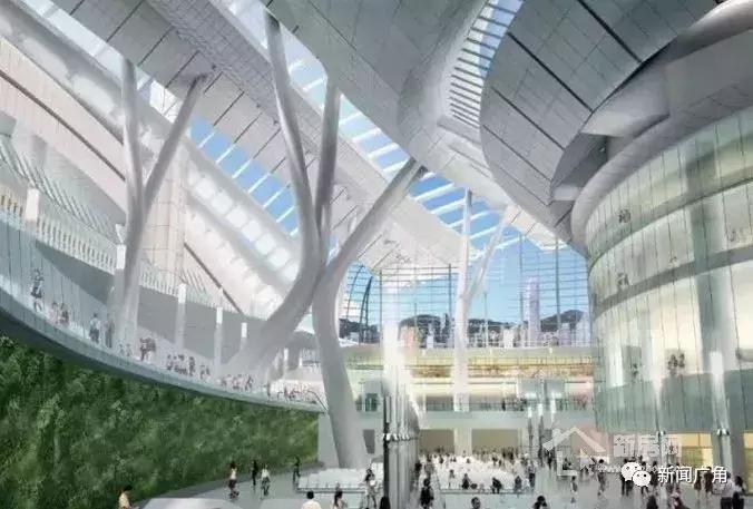 莆田动车去香港,莆田直达香港高铁怎么玩