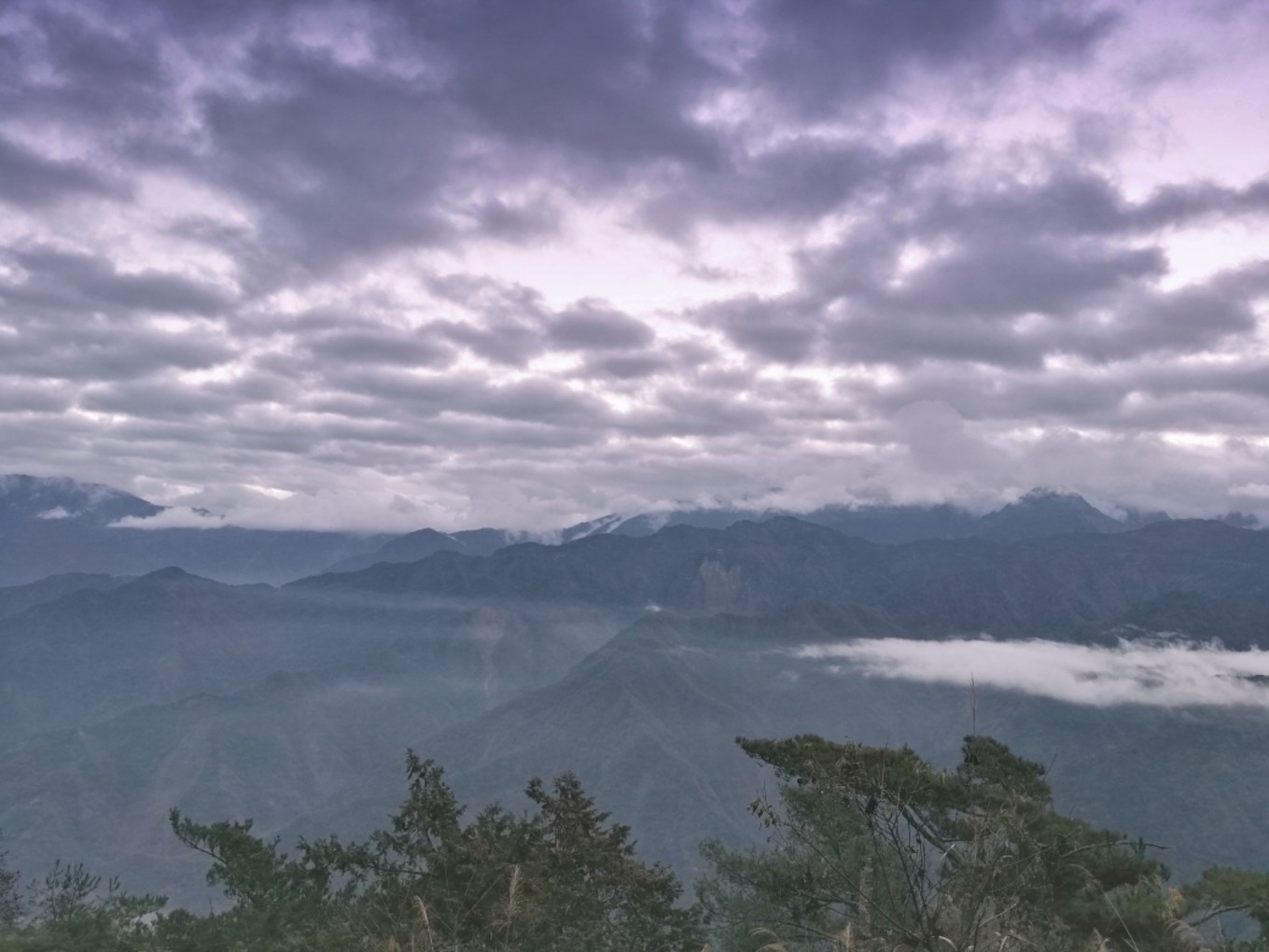 鑷敱琛屽埌楂橀泟鏀荤暐,鍒伴珮闆勬梾琛岃嚜鐢辫鏀荤暐