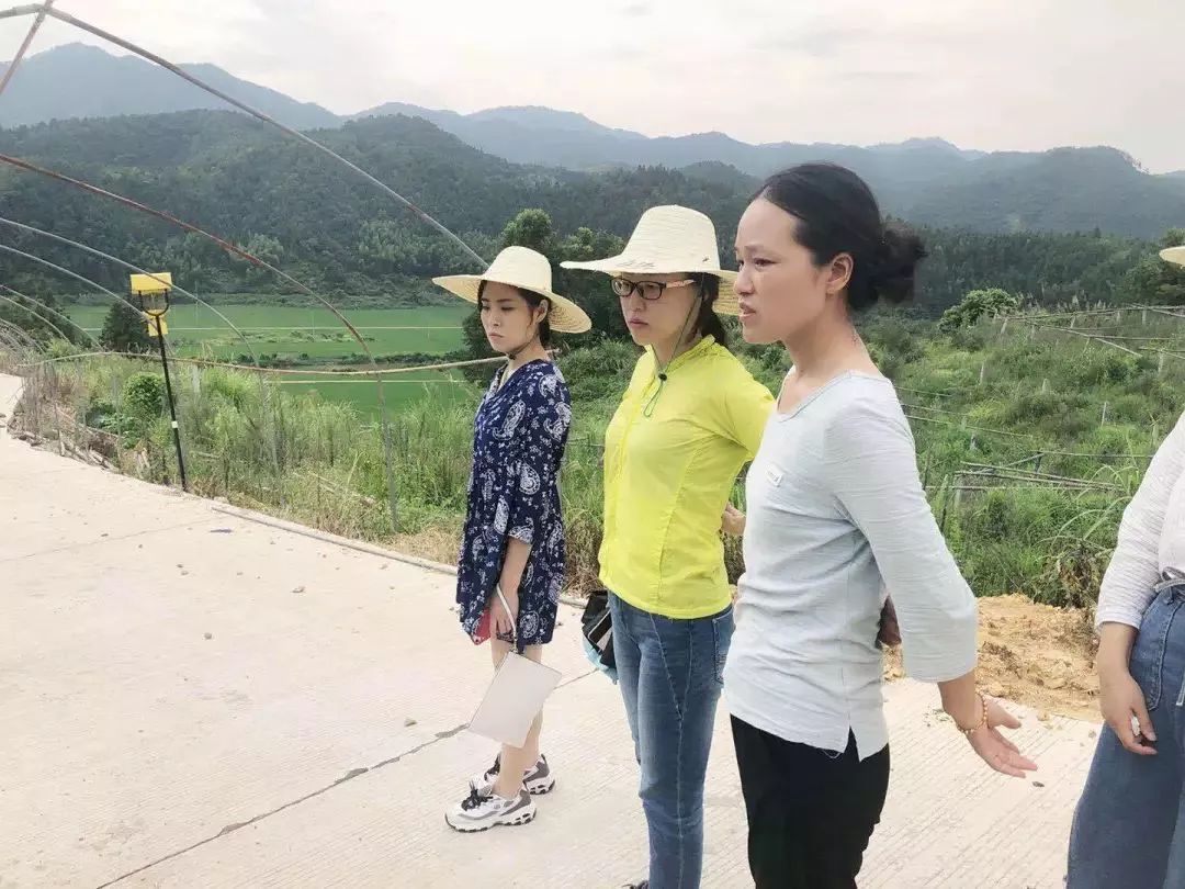 看过来！带你走一走将乐的这些返乡青年创业基地~｜新时代新作为新篇章