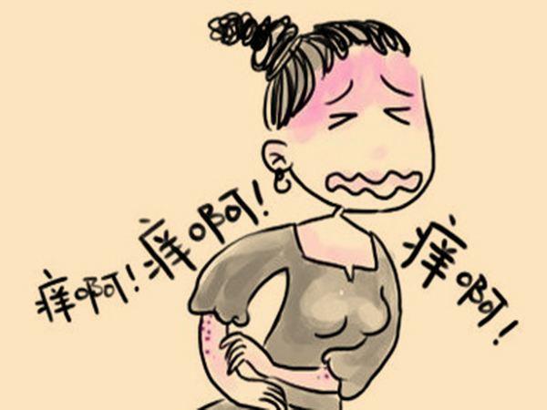 桂枝茯苓丸治皮肤病,桂枝外用治皮肤病功效强大