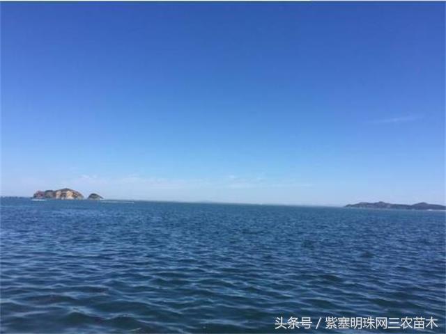 辽宁农家乐旅游攻略,辽宁农家度假村