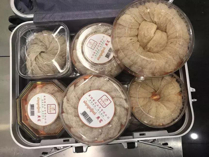 海关都查验过哪些奇葩违禁物品,海关违禁水果