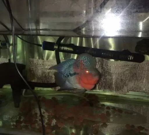 冲动购物一时爽,冲动购物的感悟