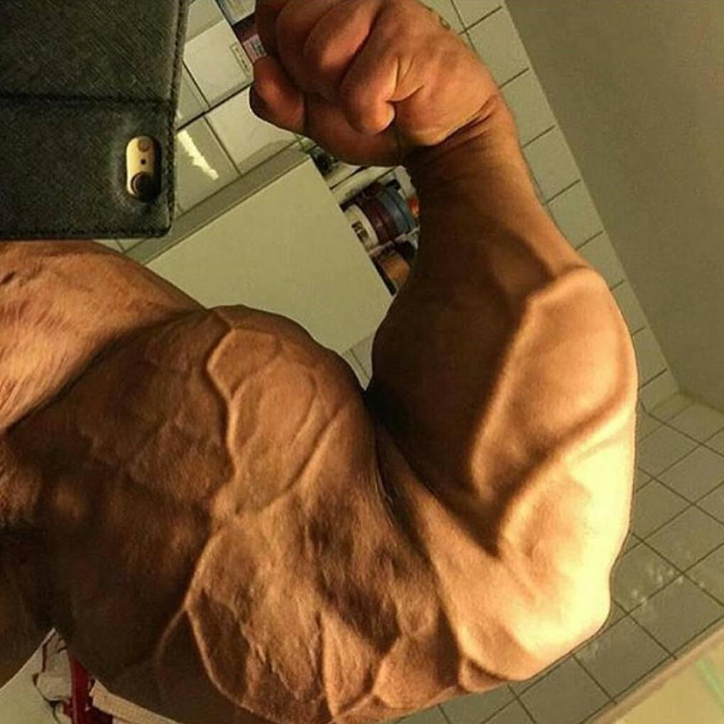 怎么锻炼小臂让小臂变粗,如何锻炼小臂使小臂变粗