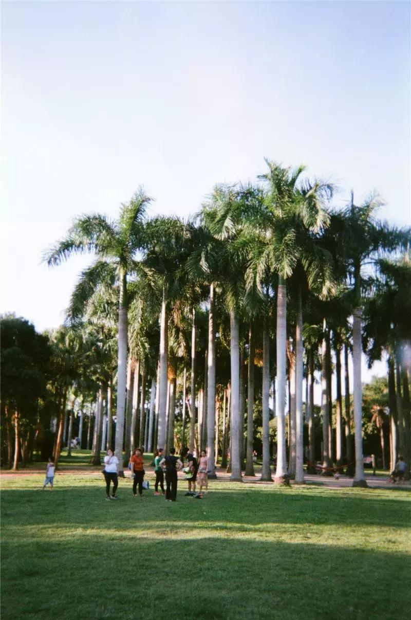 人少景美还免费！深圳13个私藏拍照圣地！随手一拍都是大片！