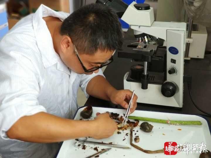 严重可能致痴呆，甚至死亡！海宁又出现这种螺，繁殖快，快提醒大家！