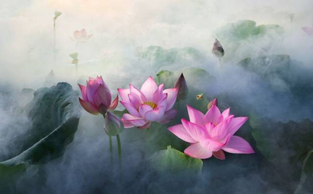 星云大师受用一生的十句话,星云大师菜根谭经典名句