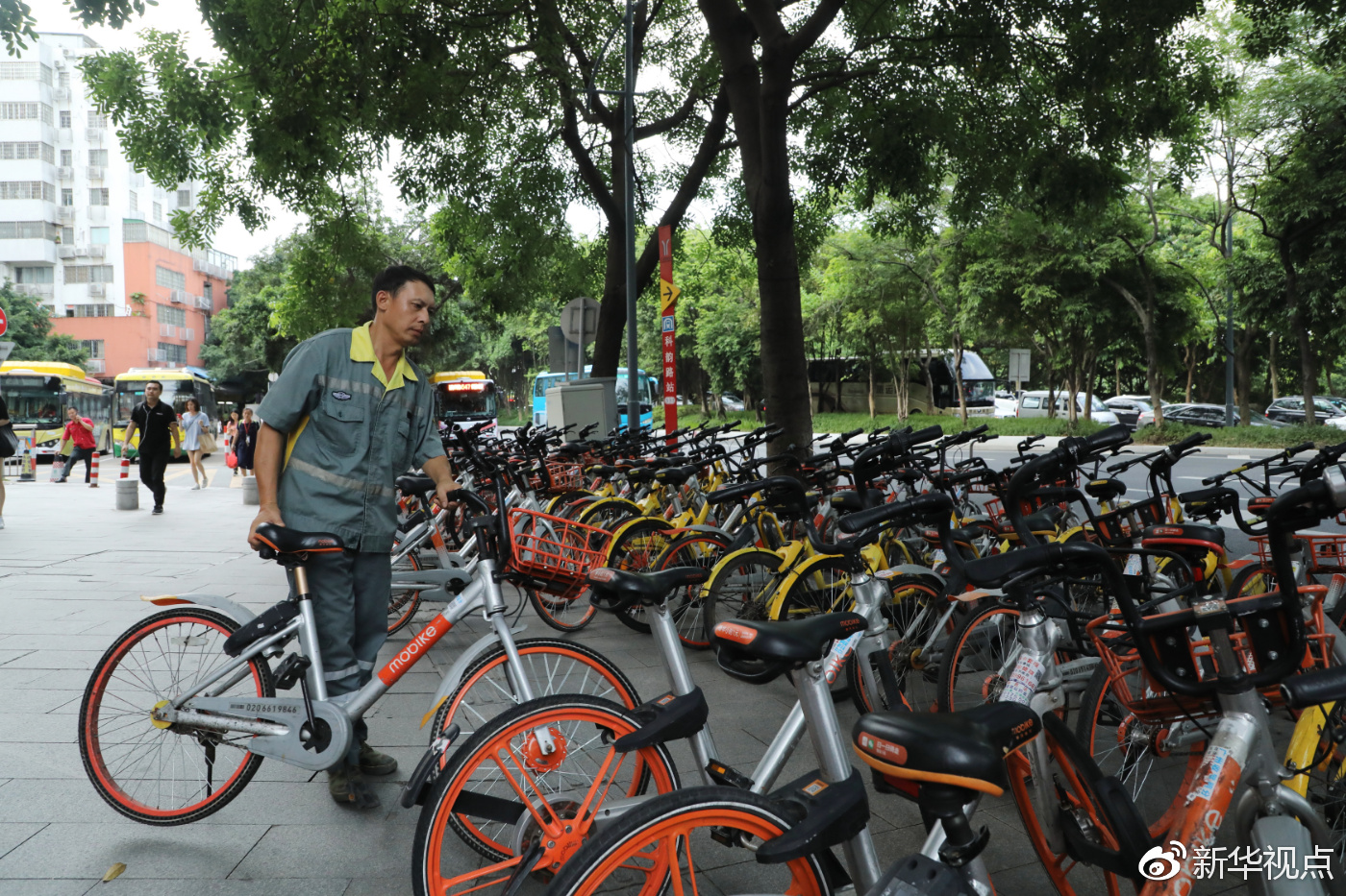 破产的共享单车都去哪了,倒闭的共享单车去哪了