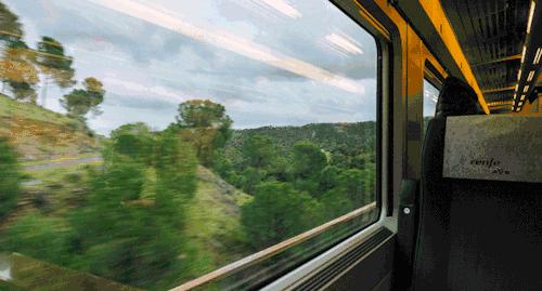 全国66个站高铁直达香港,哪些城市有直达高铁到香港