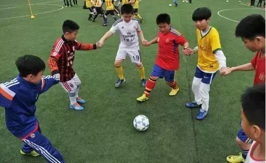 高碑店学校名单,河北高碑店中小学