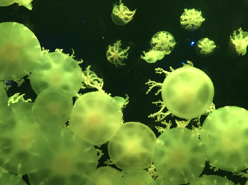 这个夏天带上ta来场浪漫的旅行,带上心爱的ta来一次浪漫之旅