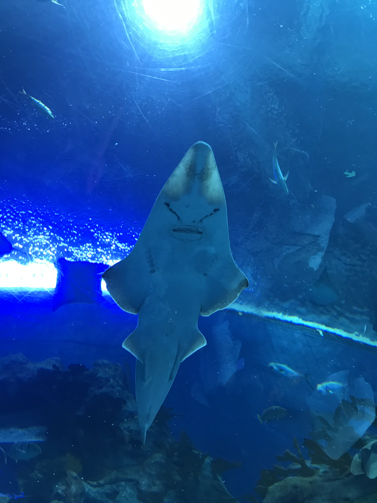 这个夏天带上ta来场浪漫的旅行,带上心爱的ta来一次浪漫之旅