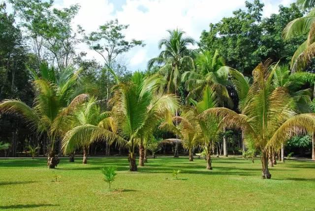 我国内地212个5a景区全在这里,带你看遍全中国的5a景区