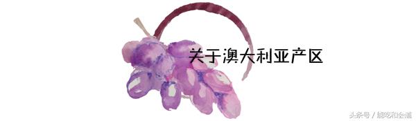 看懂了葡萄酒瓶上的这个细节，买酒绝对不会出错！