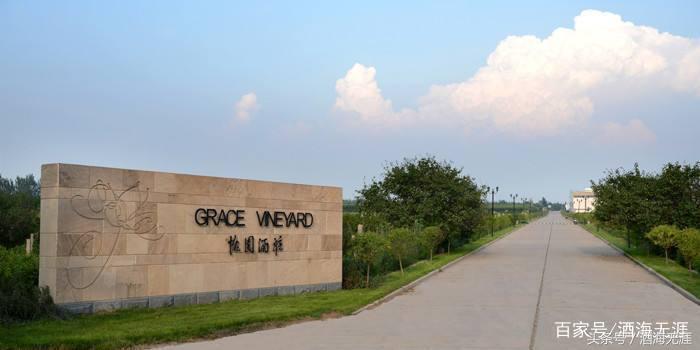 国产十大红酒排行榜,十大最贵的红酒排名