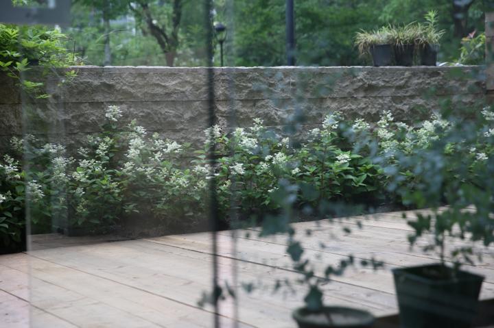 把出租屋改造到房子里,把出租屋改造成豪宅