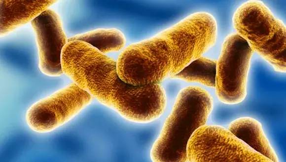 炭疽病最新疫情辽宁,辽宁海城牛庄牛炭疽疫情最新进展