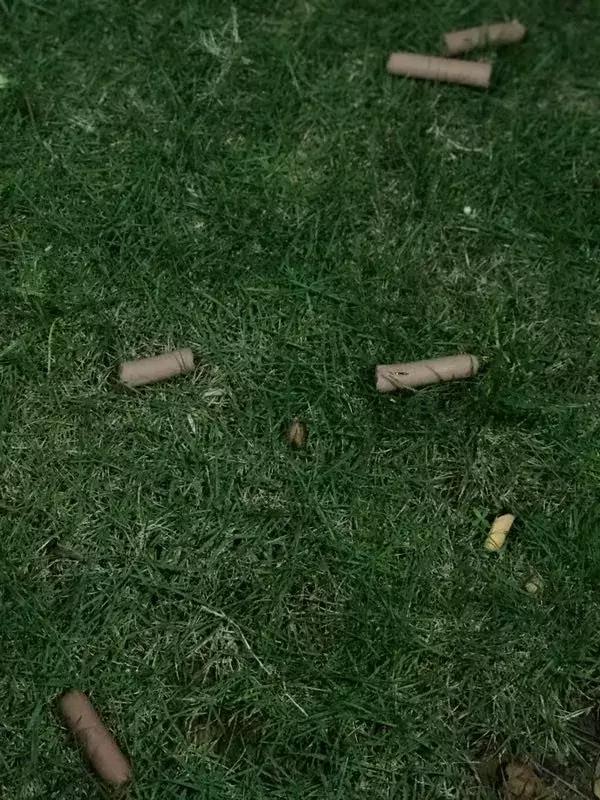 狗咬人被打死狗主人要求赔偿,藏獒先生医疗费谁来付