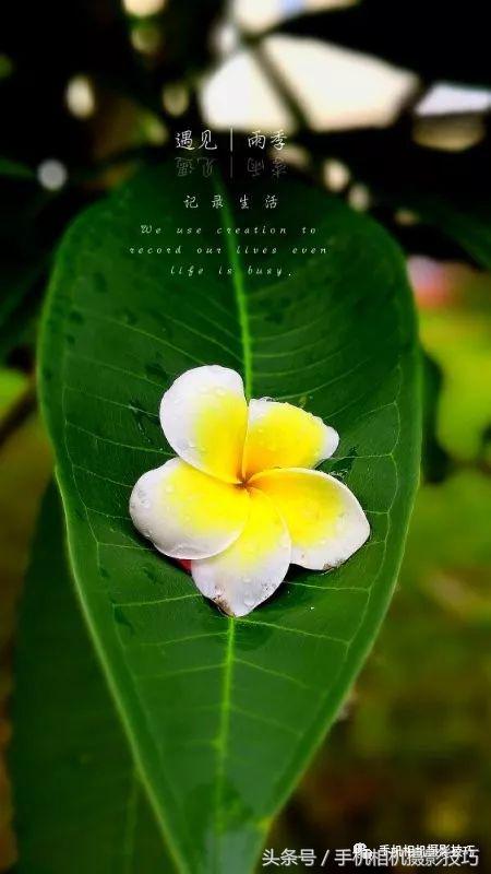 普通人如何拍有意思的视频,生活中可以拍哪些有趣的视频