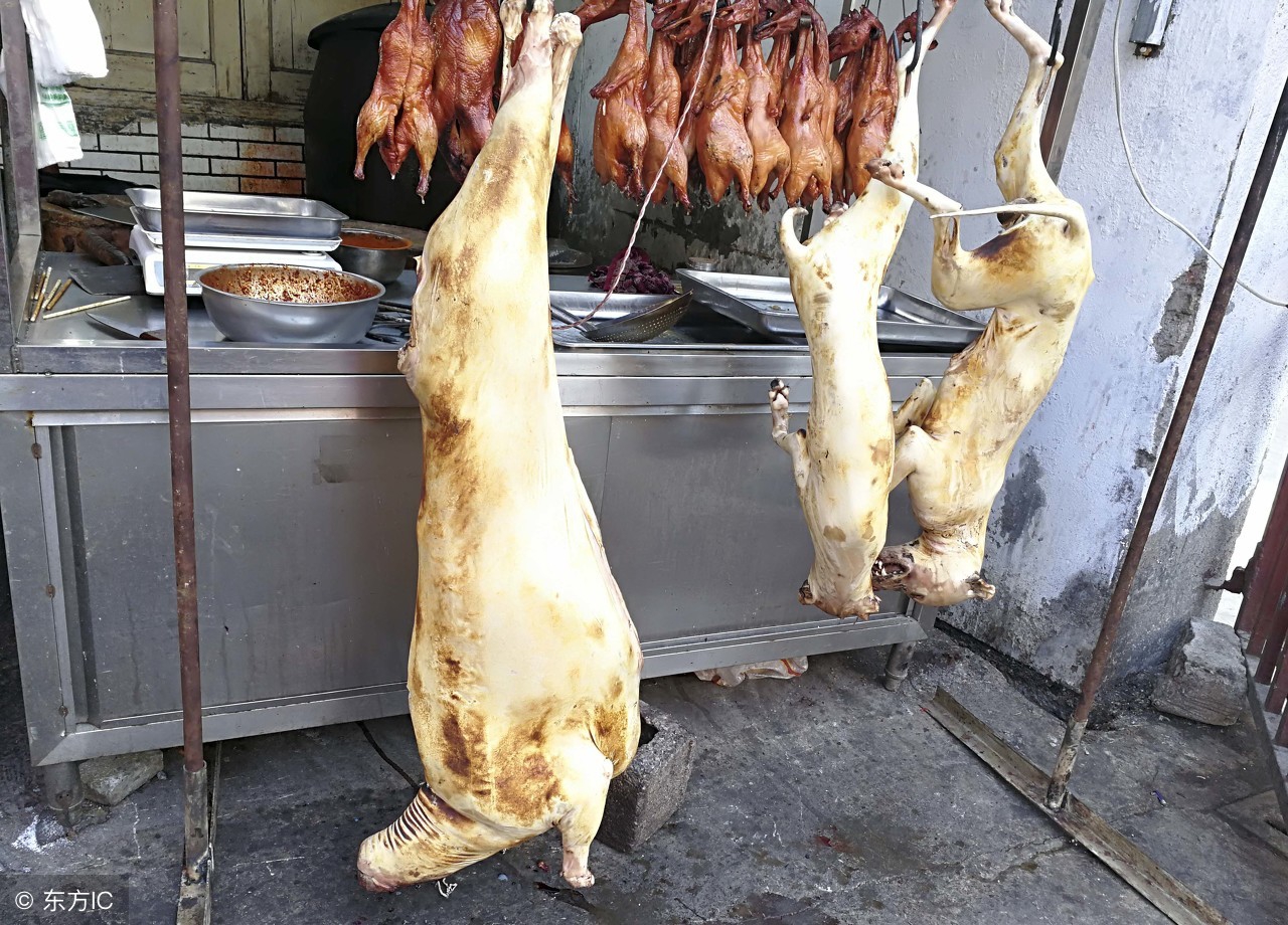 异烟肼毒狗，狗主人还没着急，吃狗肉的不干了