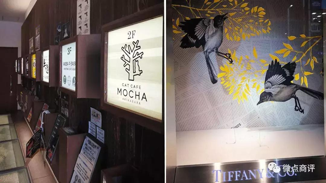 鏉ㄩ湠鍚箟,鏉ㄩ湠铚傝湝鏄湡鐨勫悧