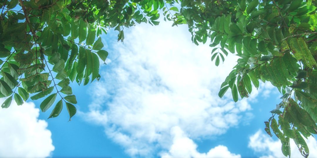 这座高铁直达的小县城，藏着圣托里尼的浪漫，济州岛的清新！