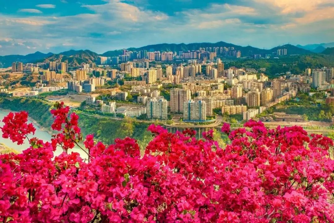 印象｜有了攀枝花，何必去天涯？