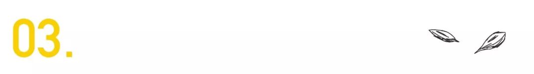 高晓松讲许巍,曾陪你仗剑走天涯歌词