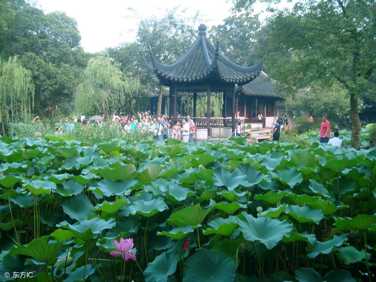 造价对量怎么解决争议,工程造价中计量单位错了怎么办