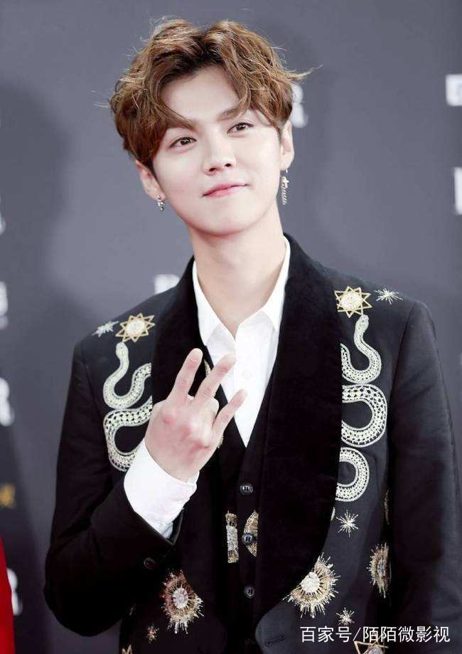 鹿晗有多少才华,鹿晗颜值才华