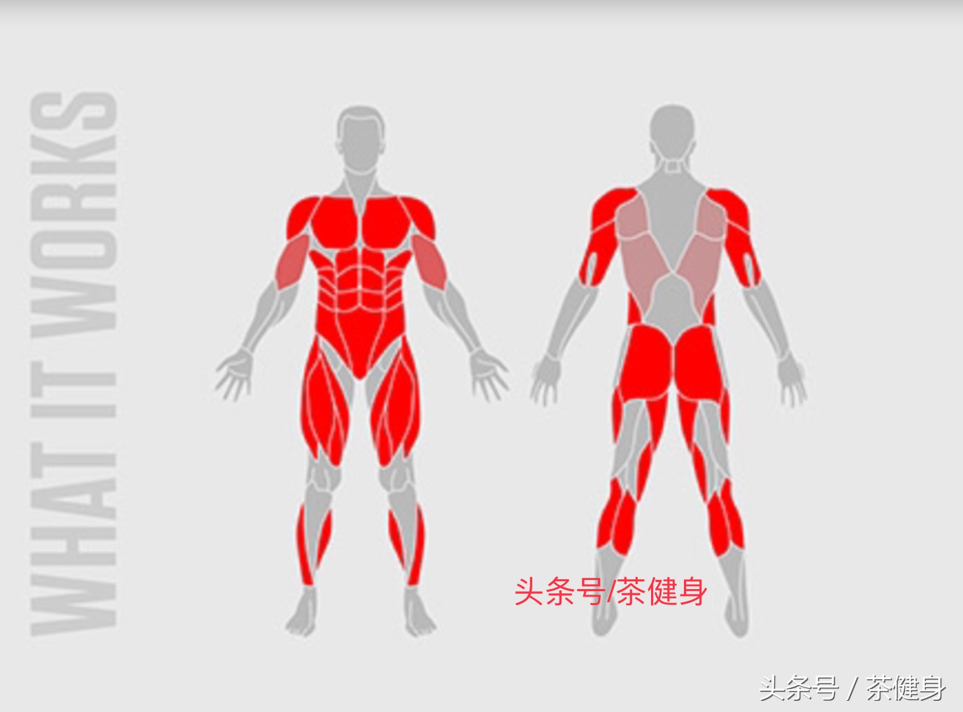 60分钟全身燃脂力量训练,锻炼全身肌肉的动作增肌
