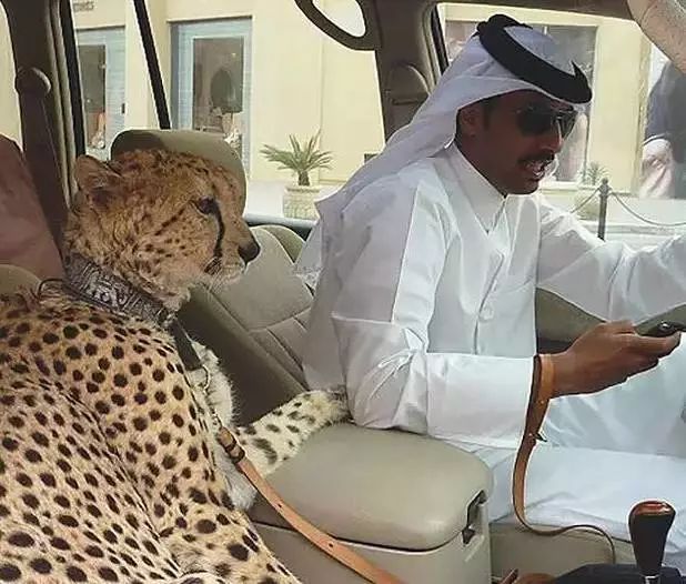 揭秘迪拜的真实生活,记录迪拜真实生活