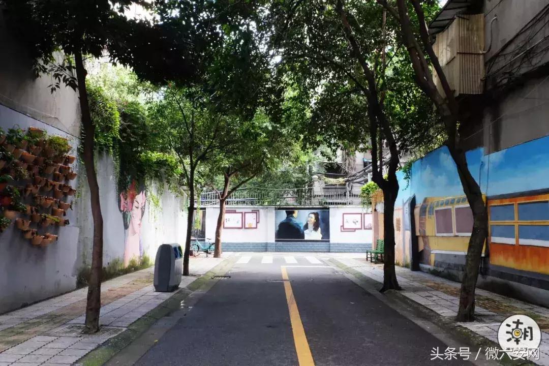 一条不足300米的林荫小巷，成为“小酒馆”后玉林的另一打卡地！