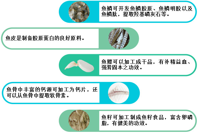 吃了多年的鲤鱼,吃了这么多年鱼就不知道什么味