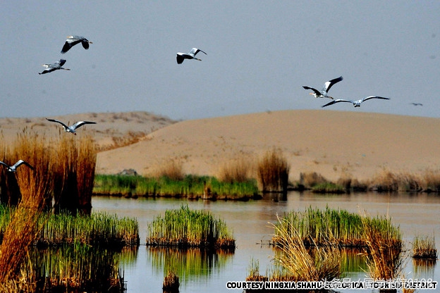 中国30处绝美之境,中国40个绝佳景点