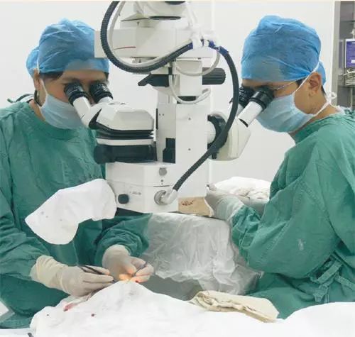 「卫生与健康」胃肠道疾病的治与防（中）