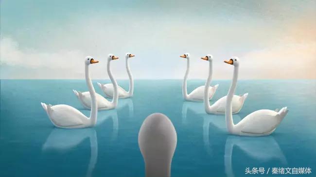 自媒体创业怎么样做才好,自媒体创业新人小白做自媒体