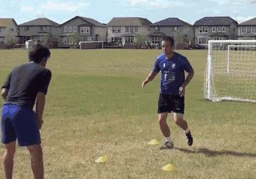 肇庆足球特色学校,肇庆新学校名单