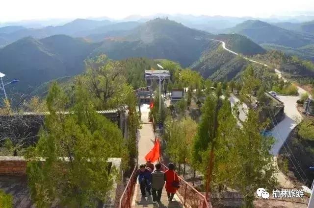 走遍榆林寻古树、品农味、游乡村，感受最清爽的一抹绿之子洲篇