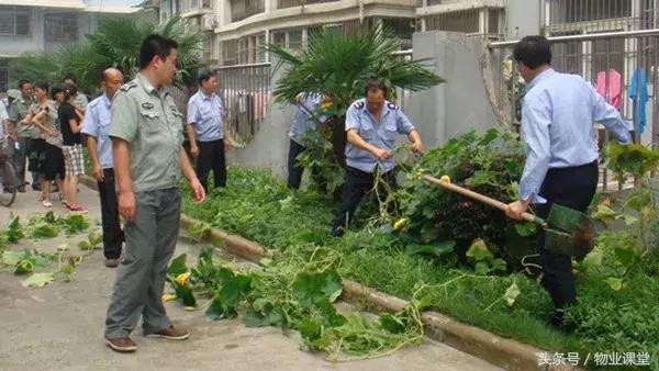 小区里绿地种菜怎么管理,怎么制止小区里种菜的