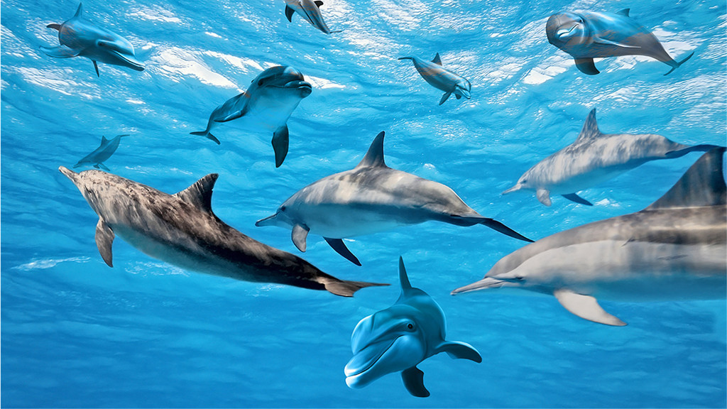 动物眼中的人类有多可怕,动物眼中的世界居然是这样