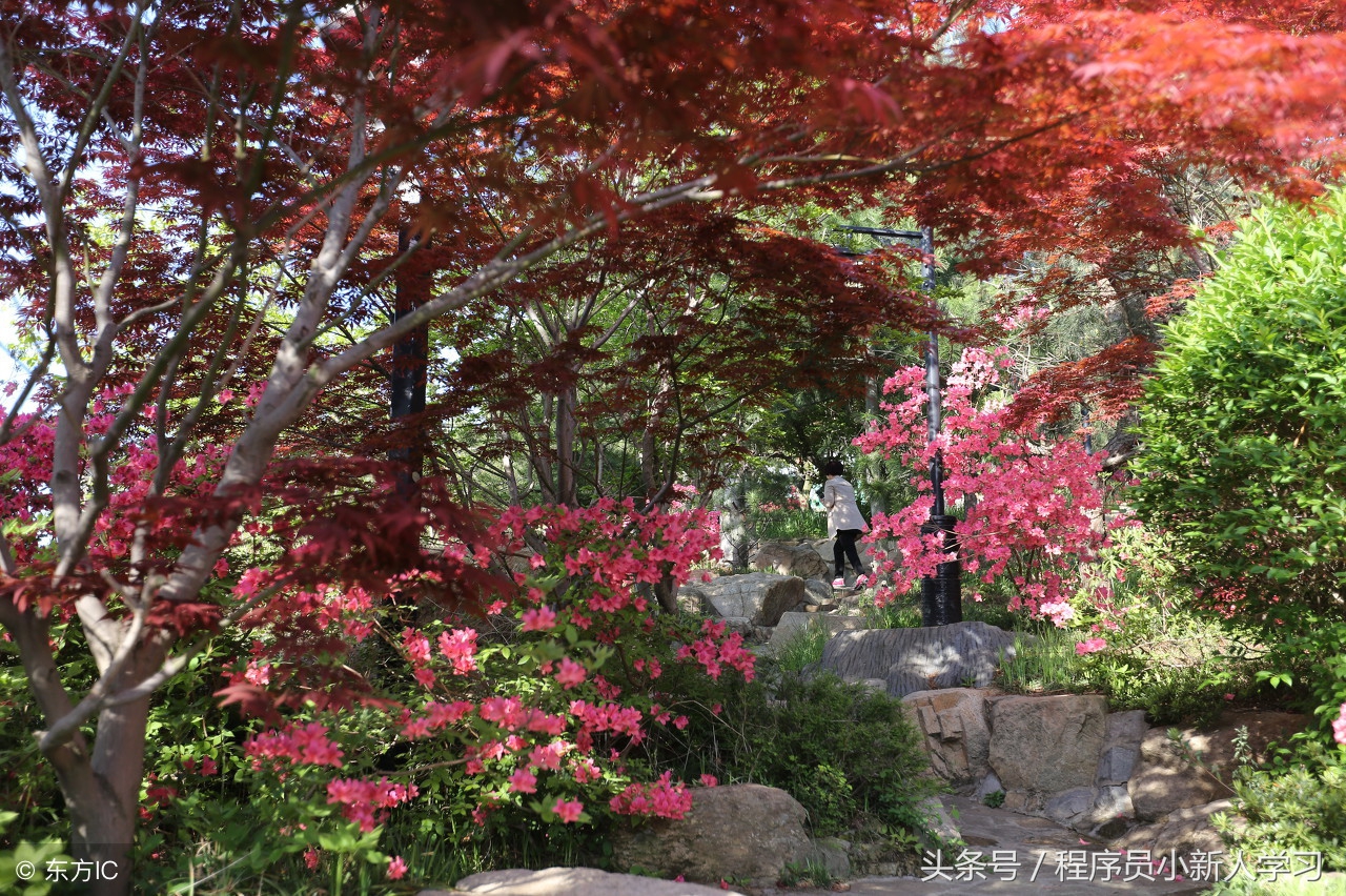 代码发送电子邮件