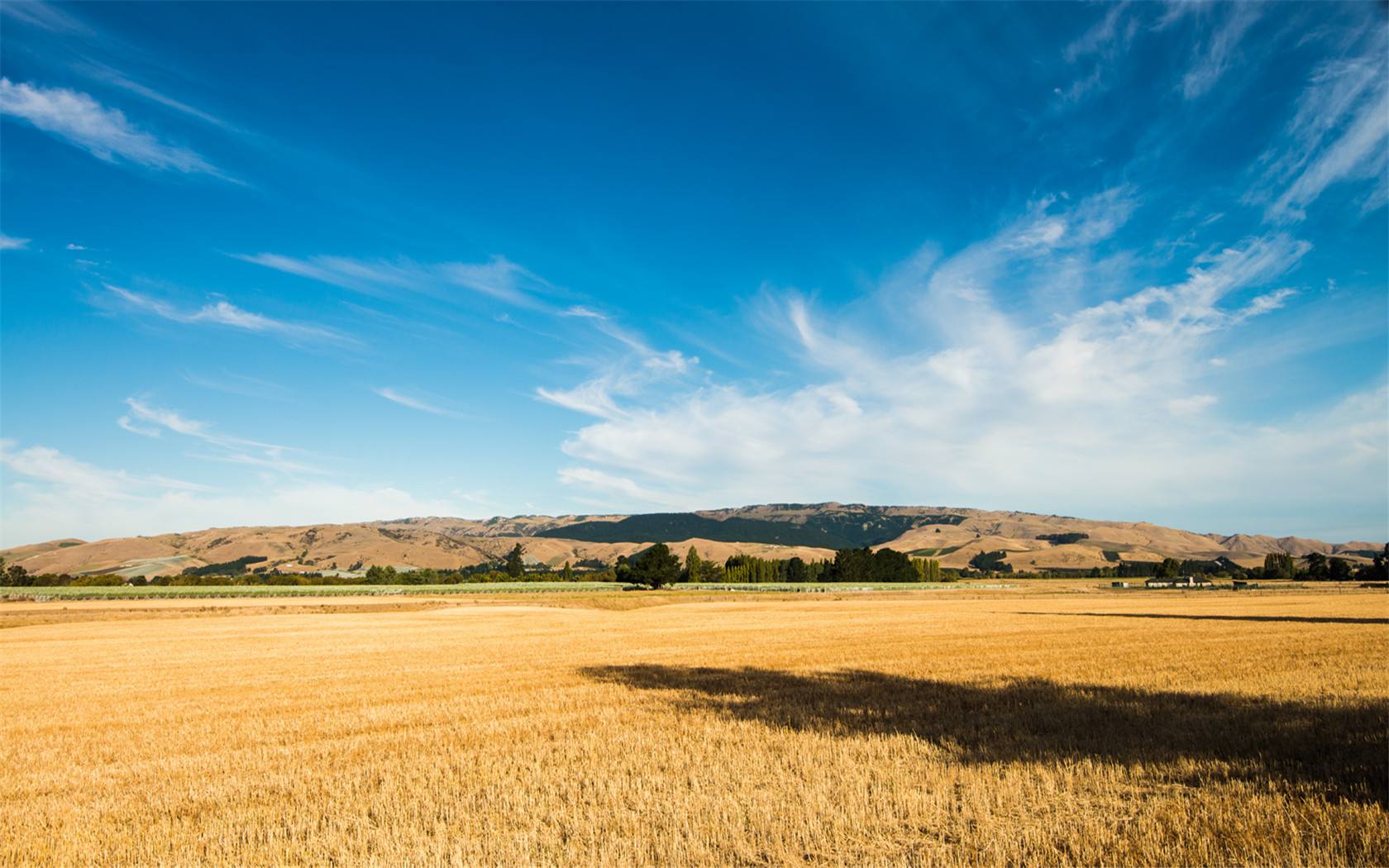 夜幕风之平原的前置任务,夜幕风之平原攻略